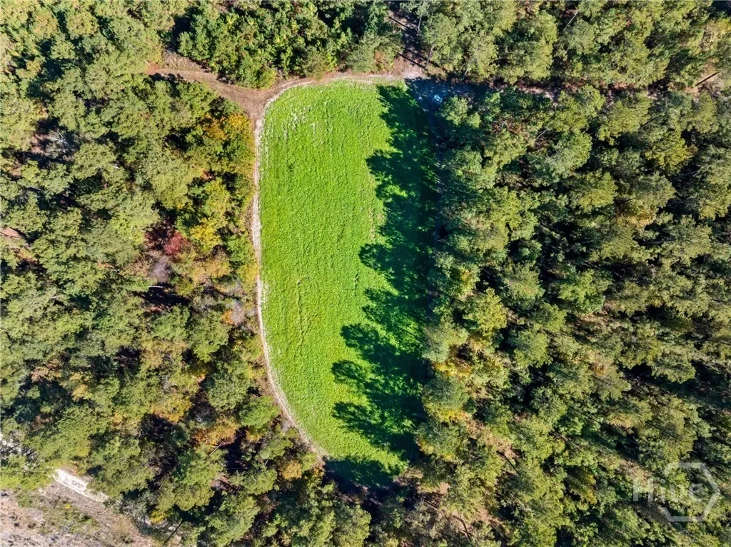 0 Honey Ridge Road, Millen, Georgia, United States. - Photo 53