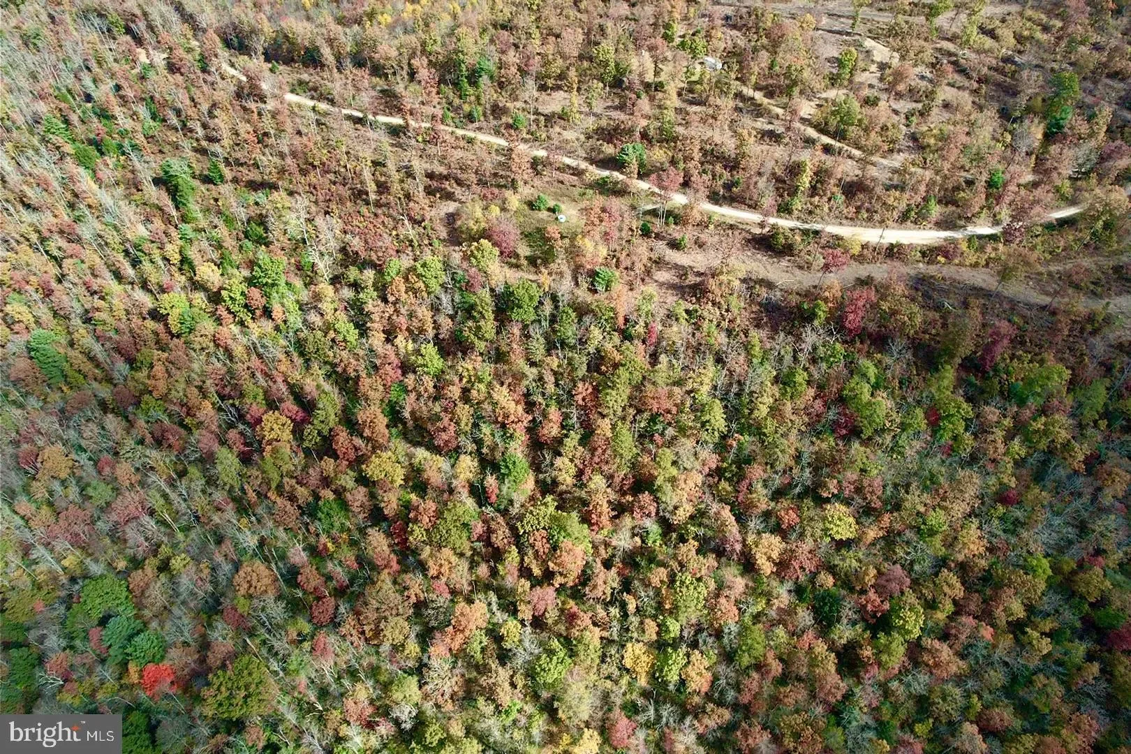 6 BEECH CREEK MOUNTAIN RD ROAD, BEECH CREEK, PA 16822, Monument, Pennsylvania, United States. - Photo 21