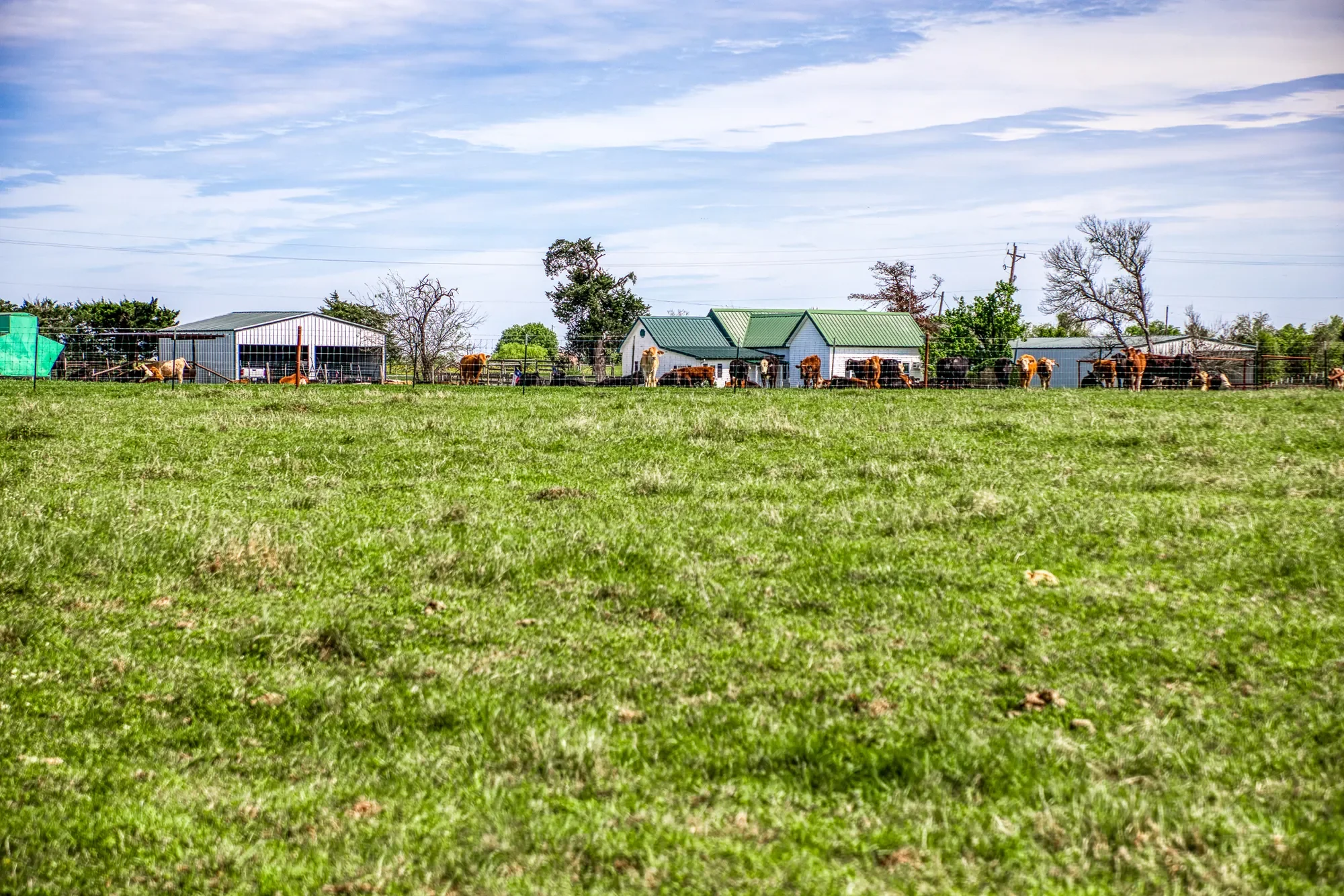 20751 Fm 1155 E , Washington, TX 77880, Washington, Texas, United States. - Photo 4