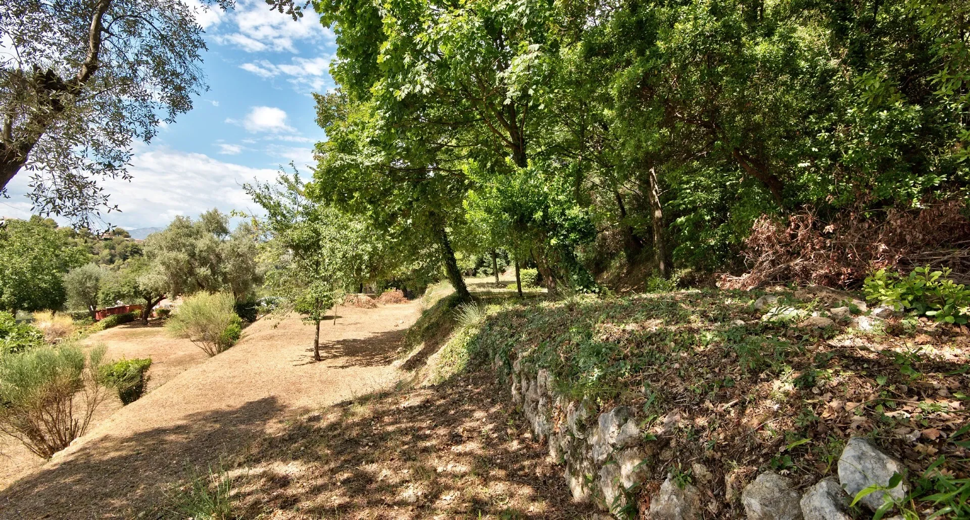 Nice, Provence-Alpes-Côte d'Azur, France. - Photo 2