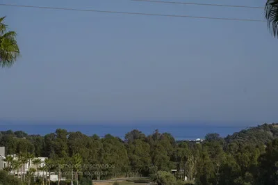 Estepona, Málaga, Estepona, Estepona, Andalusia, Spain. - Photo 6