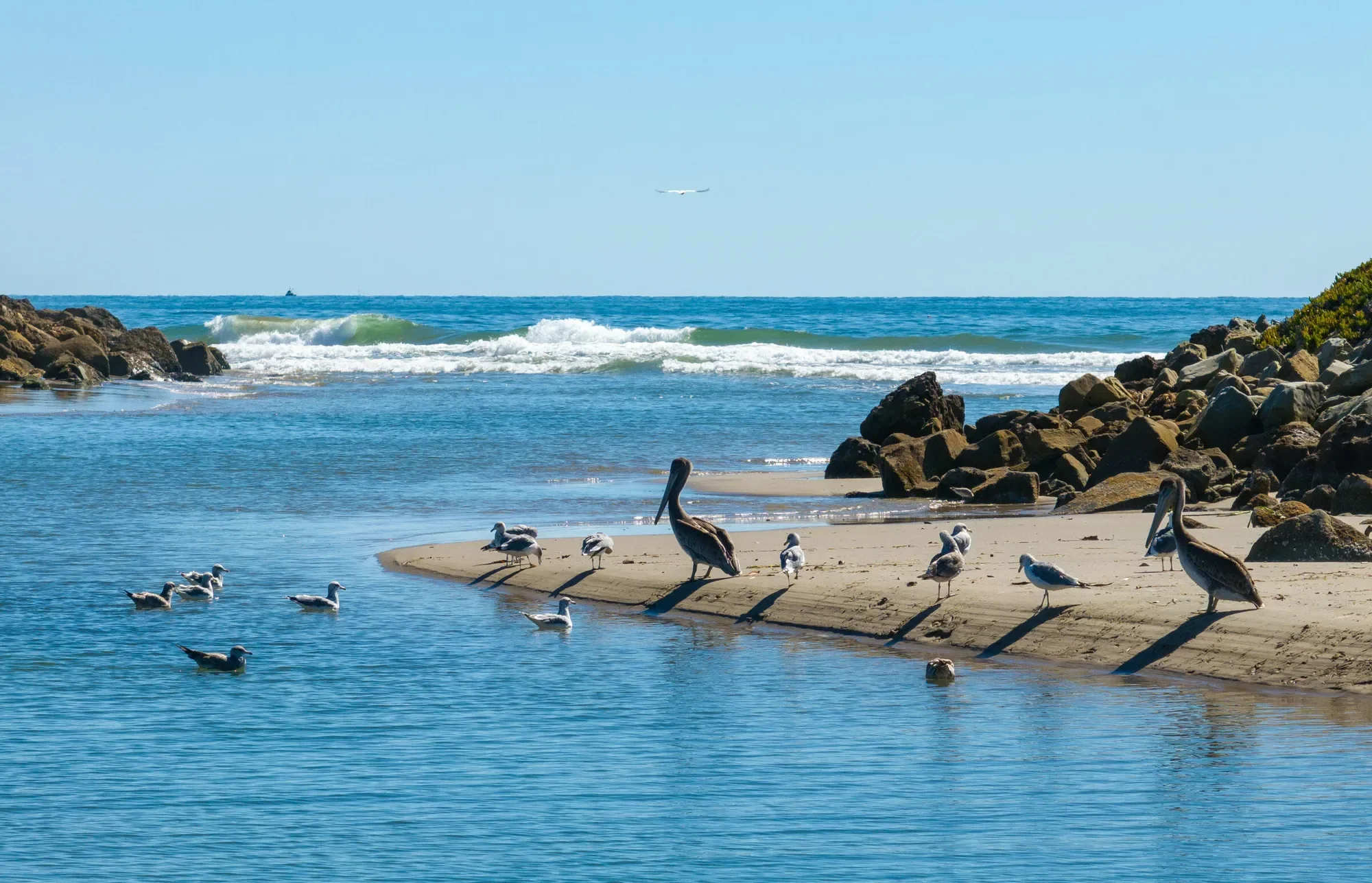 571 Sand Point Road, Carpinteria, California, United States. - Photo 25