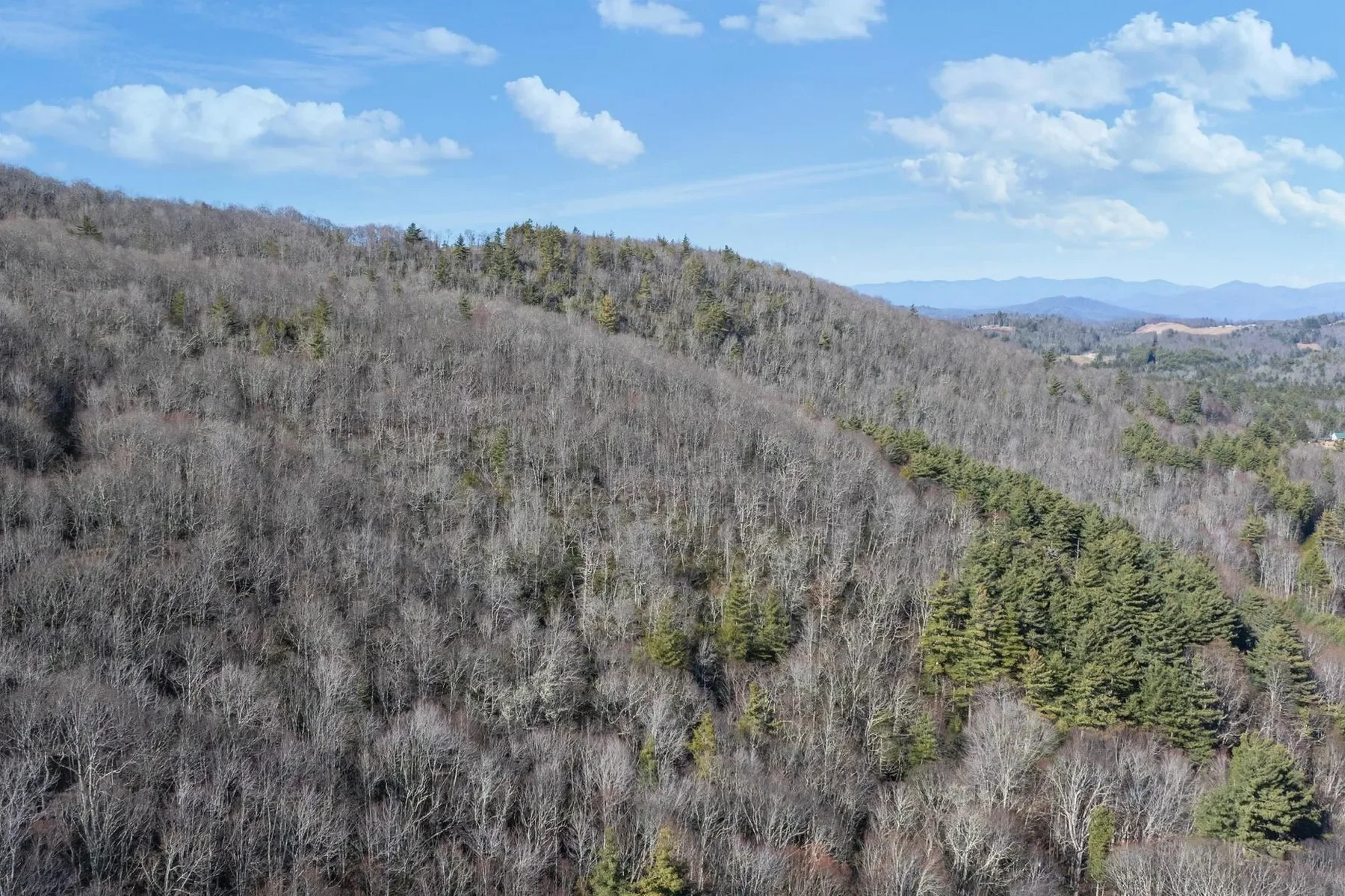 00 Off Zeb Buchanan Road, Cullowhee, NC 28723, Cullowhee, North Carolina, United States. - Photo 11