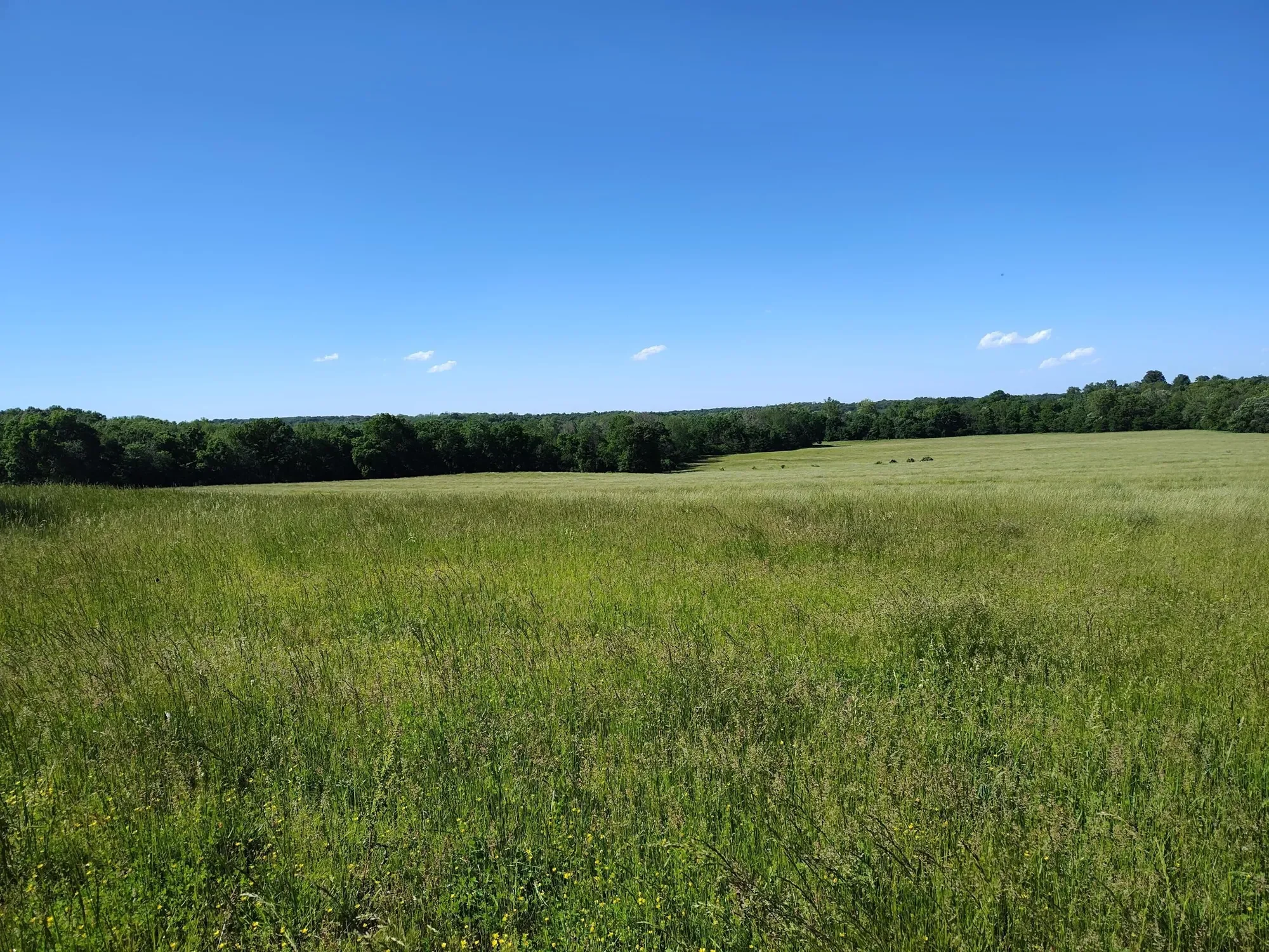1898 E 332nd Road, Polk, MO 65727, Bolivar, Missouri, United States. - Photo 87