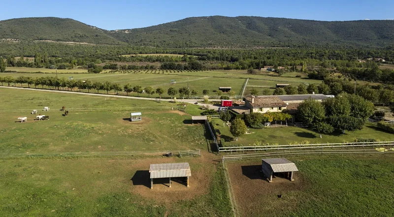 Exceptional 56 Hectare Equestrian Estate In Ampus