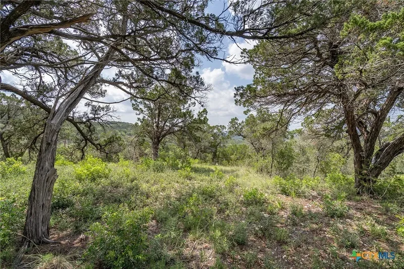 19705 Tyler Trail, Jonestown, TX 78645, Jonestown, Texas, United States. - Photo 30