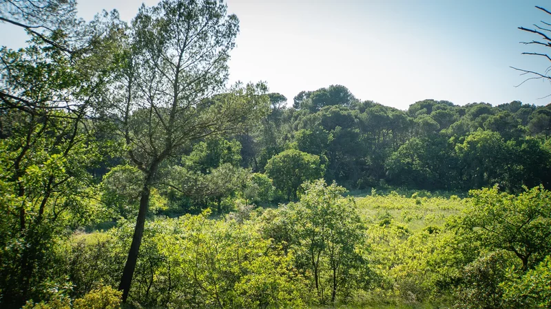 0, L'Isle-sur-la-Sorgue, Provence-Alpes-Côte d'Azur, France. - Photo 14