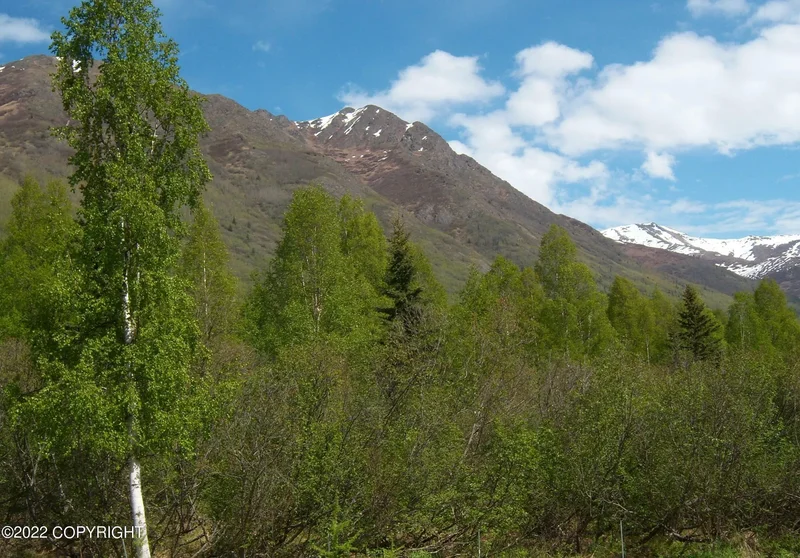 9416 Spring Street, Eagle River, AK 99577, Anchorage, Alaska, United States. - Photo 40