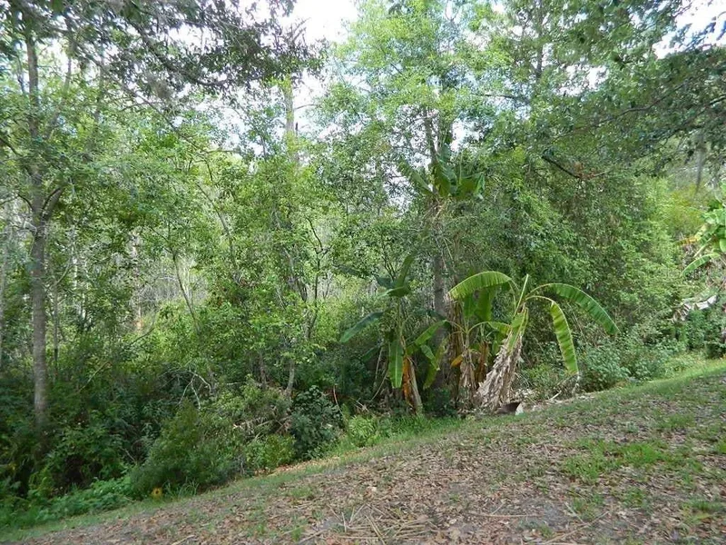 5086 Hook Hollow Circle, ORLANDO, FL 32837, Orlando, Florida, United States. - Photo 32
