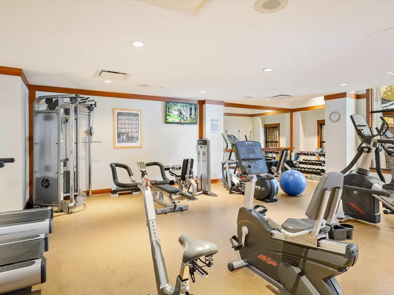 2202 Gondola Way 221, Whistler, British Columbia, Canada. - Photo 34