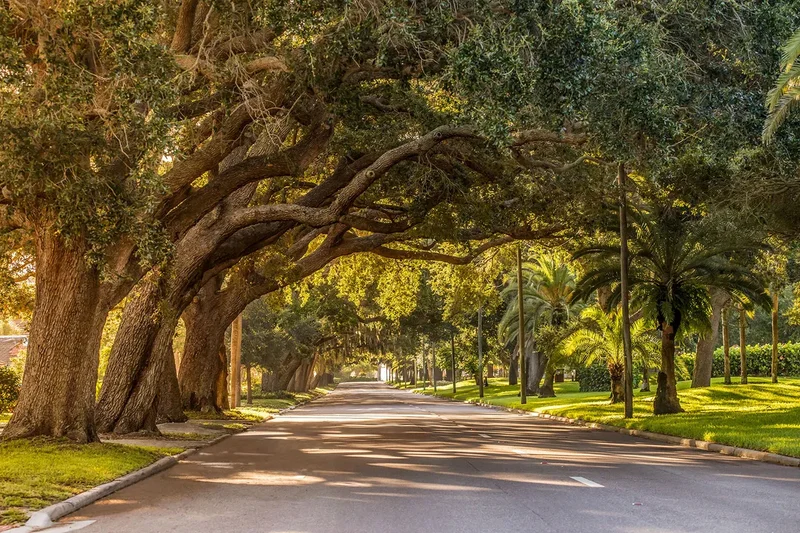 161 Grand Oak Circle, Venice, FL 34292, Venice, Florida, United States. - Photo 48