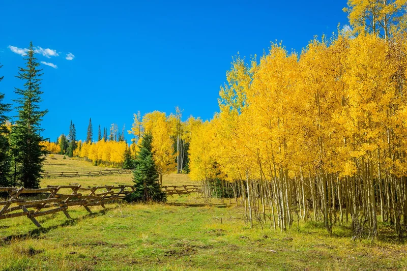 Aspen Meadows Lot 24, Brian Head, UT 84719, Brian Head, Utah, United States. - Photo 11