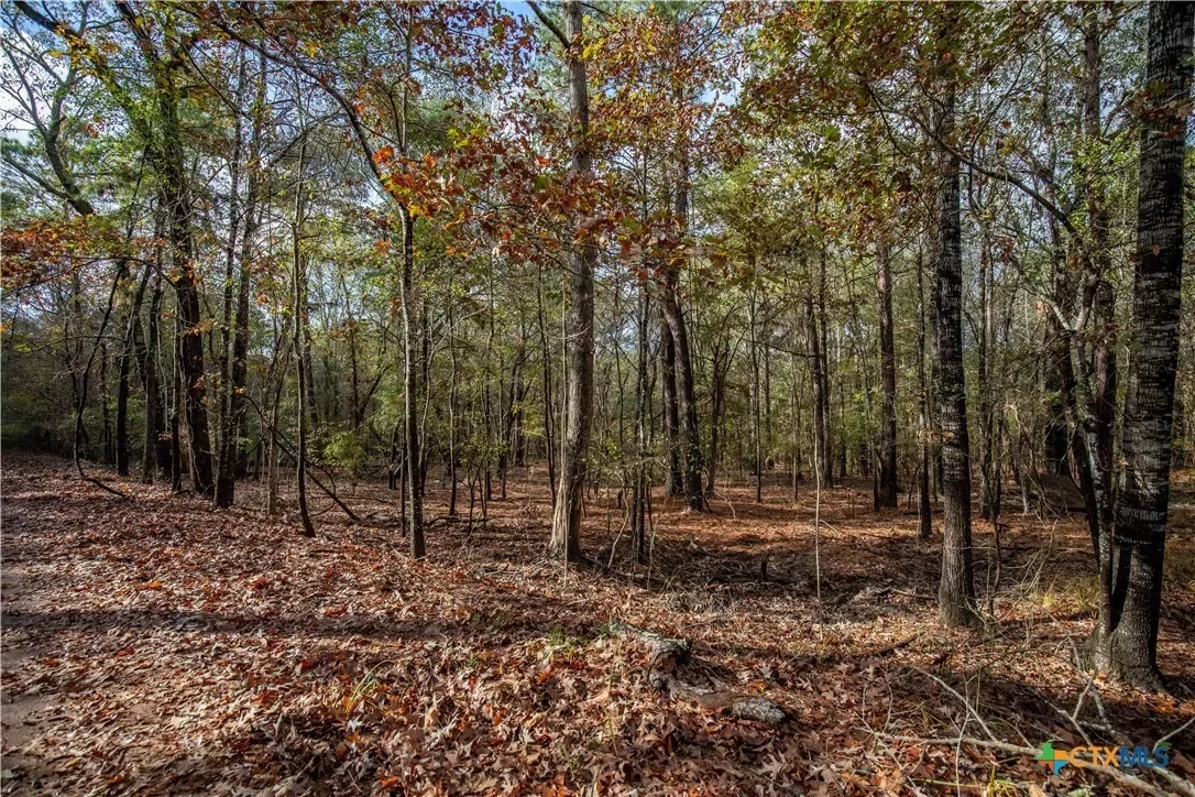 474 Pr 4311, White Oak, TX 75693, Longview, Texas, United States. - Photo 29