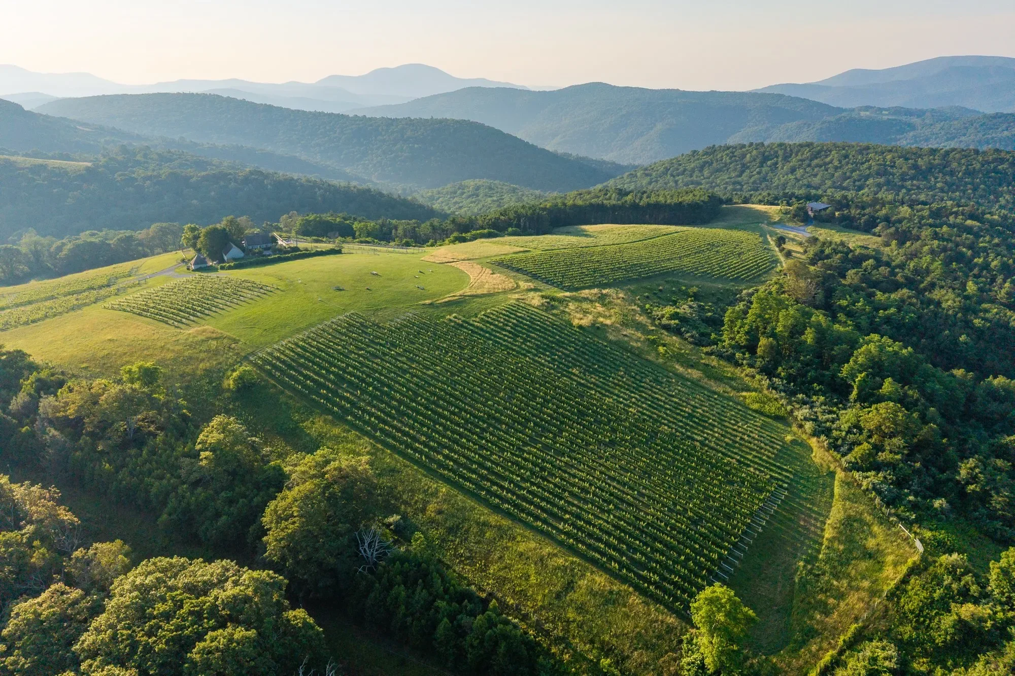 24981 Blue Ridge Parkway, Vesuvius, VA 22032, Vesuvius, Virginia, United States. - Photo 58