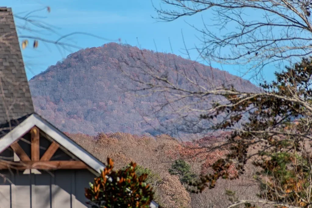 868 Old Owen Drive, Blairsville, Georgia, United States. - Photo 22