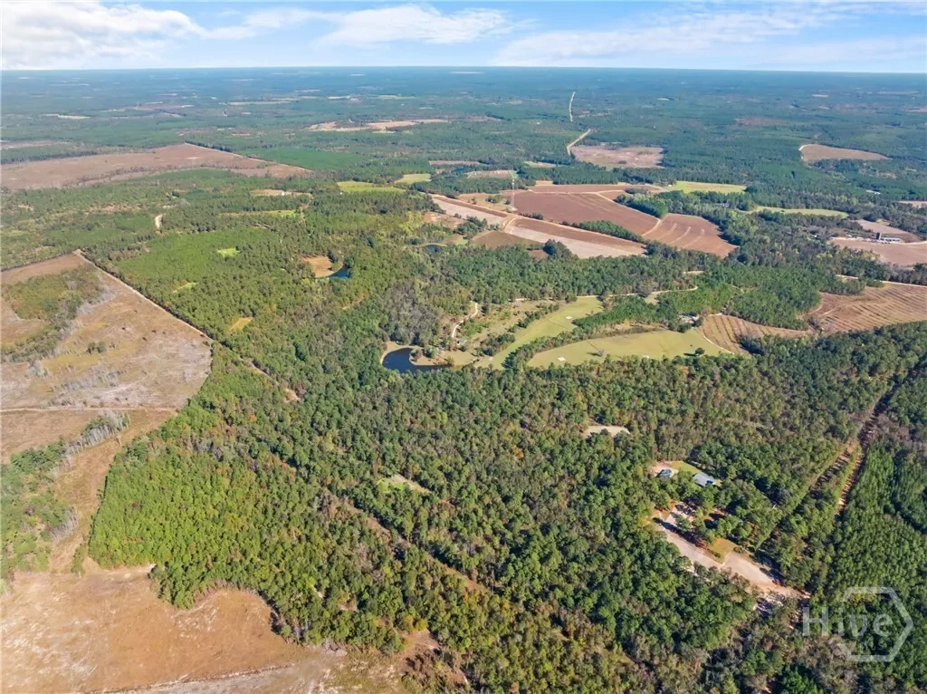 0 Honey Ridge Road, Millen, Georgia, United States. - Photo 59