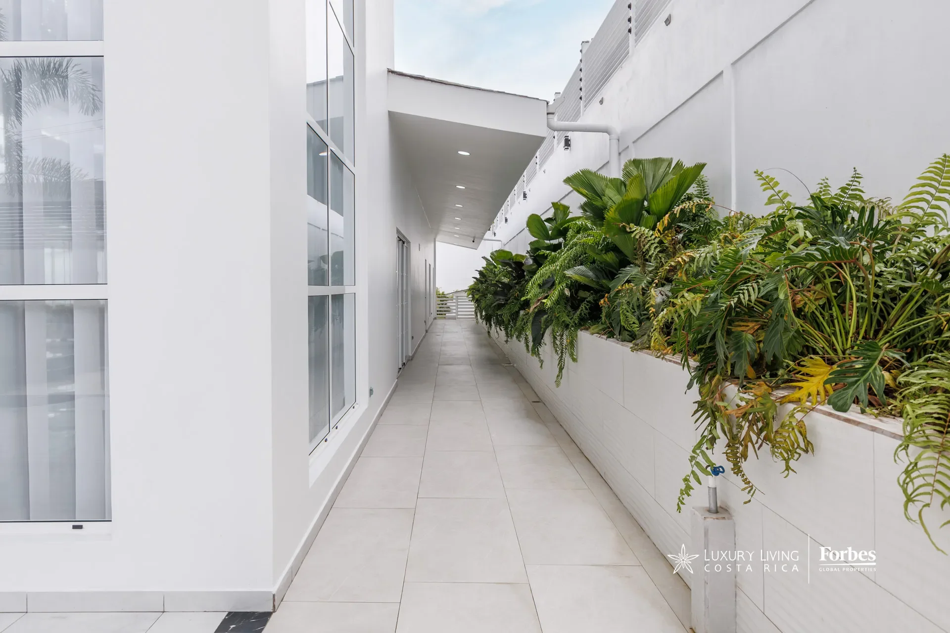 Gallery photo 5