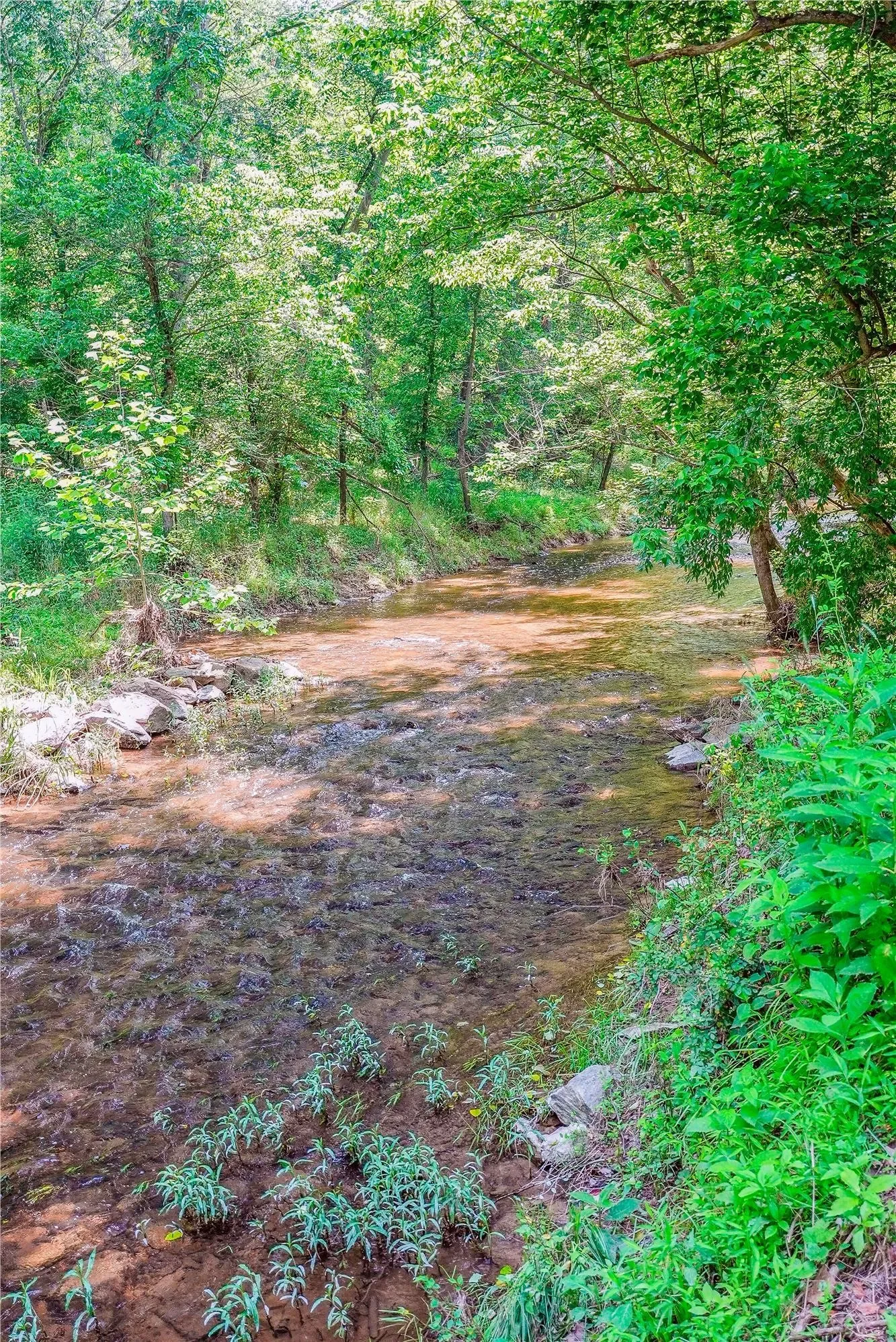 36155 Chamblin Mill Lane , Purcellville, VA 20132, Purcellville, Virginia, United States. - Photo 62