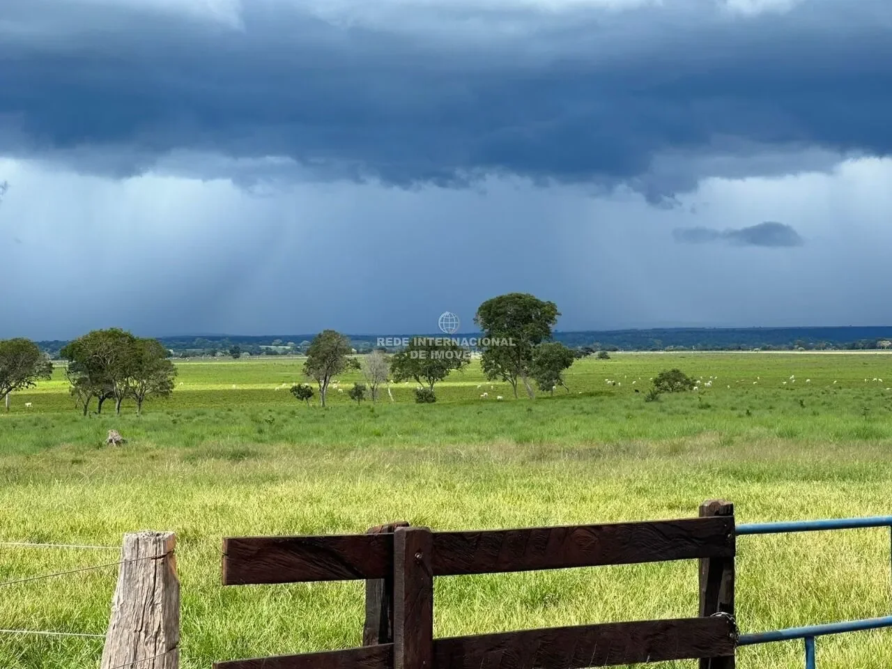 São Miguel do Araguaia, State of Goiás, Brazil. - Photo 6