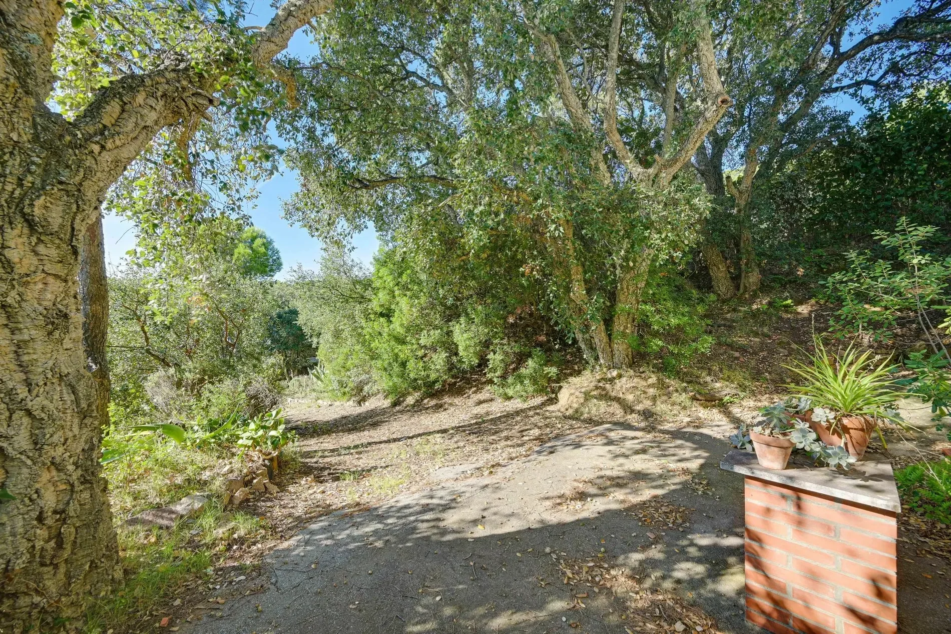 Exterior photo 4