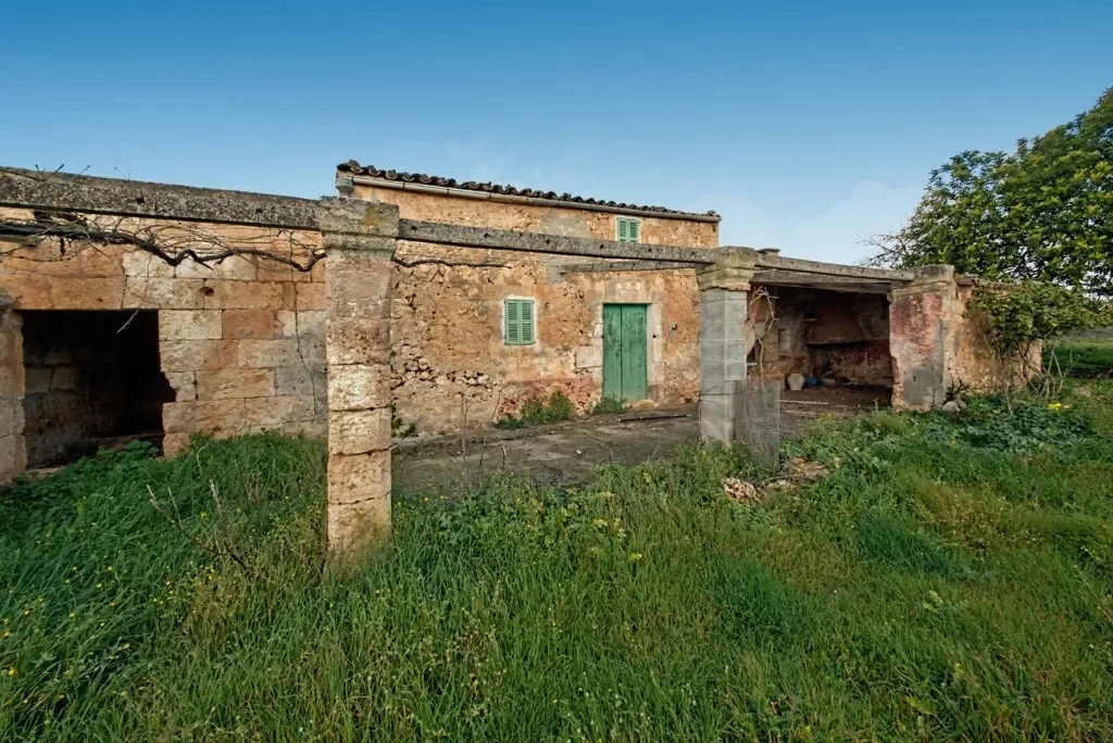 Baleares, Maria de la Salut, Balearic Islands, Spain. - Photo 5