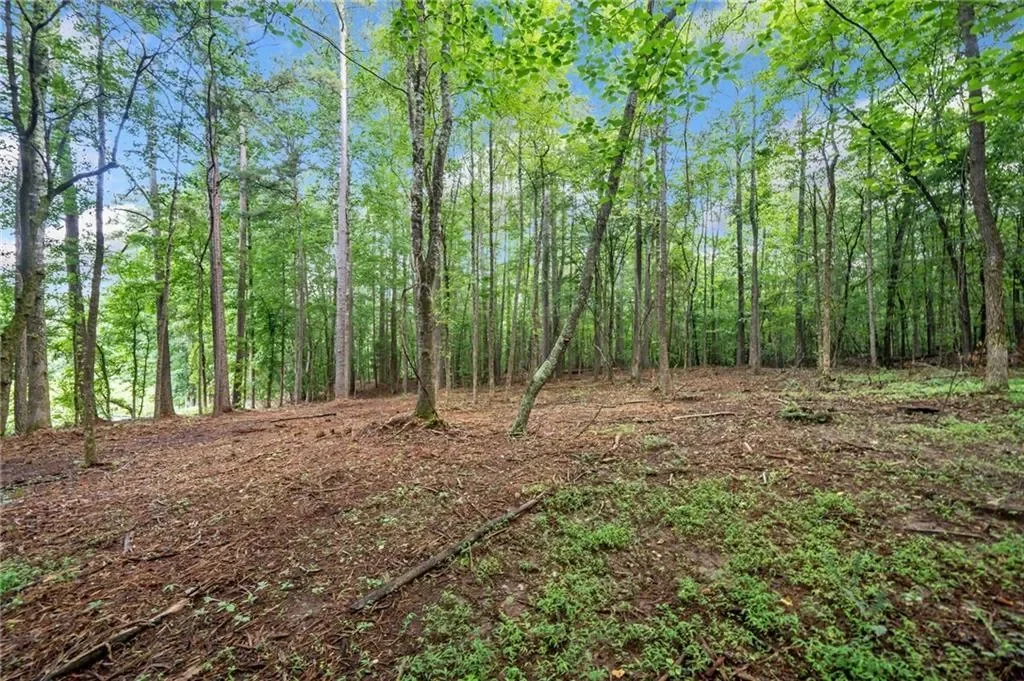 Gallery photo 6