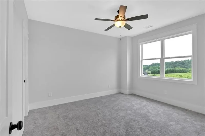 152 Palisade Drive, Rydal, Georgia, United States. - Photo 30