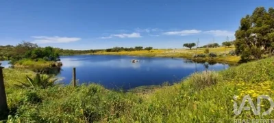 Thumbnail 22