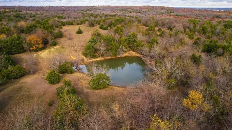 432 Acres Slickum Slough Road, Whitesboro, TX, 76273, USA, 76273, Texas, United States. - Photo 14