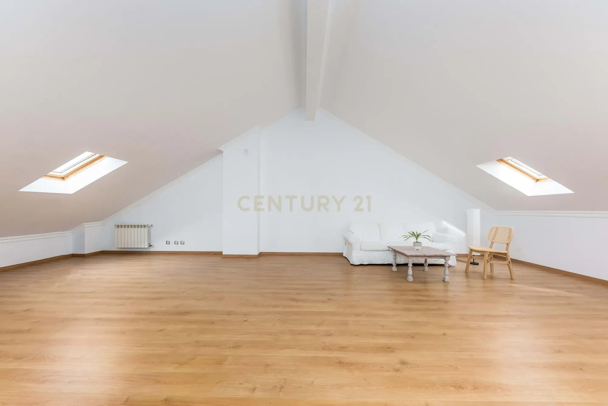 Gallery photo 7