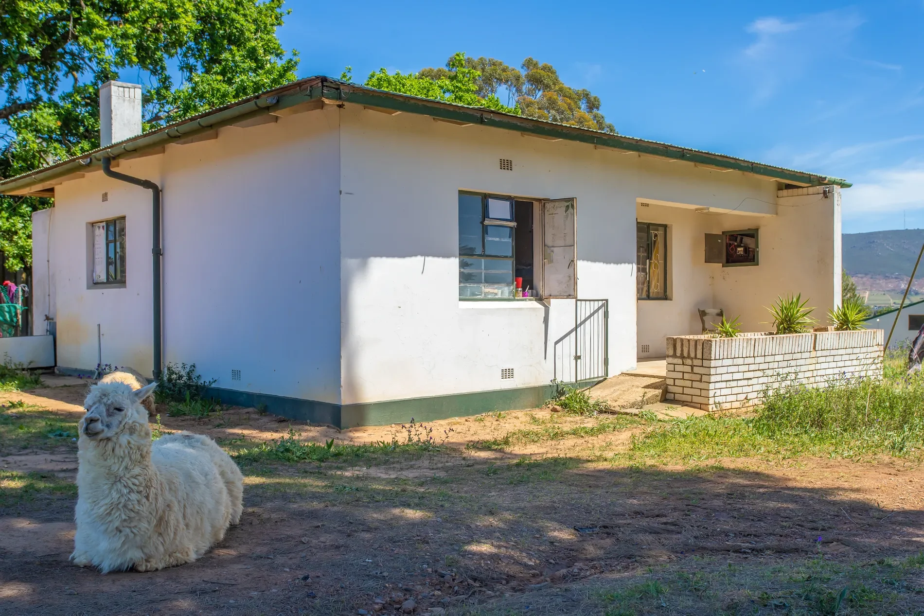 Exterior photo 7
