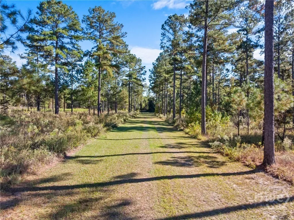 0 Honey Ridge Road, Millen, Georgia, United States. - Photo 30