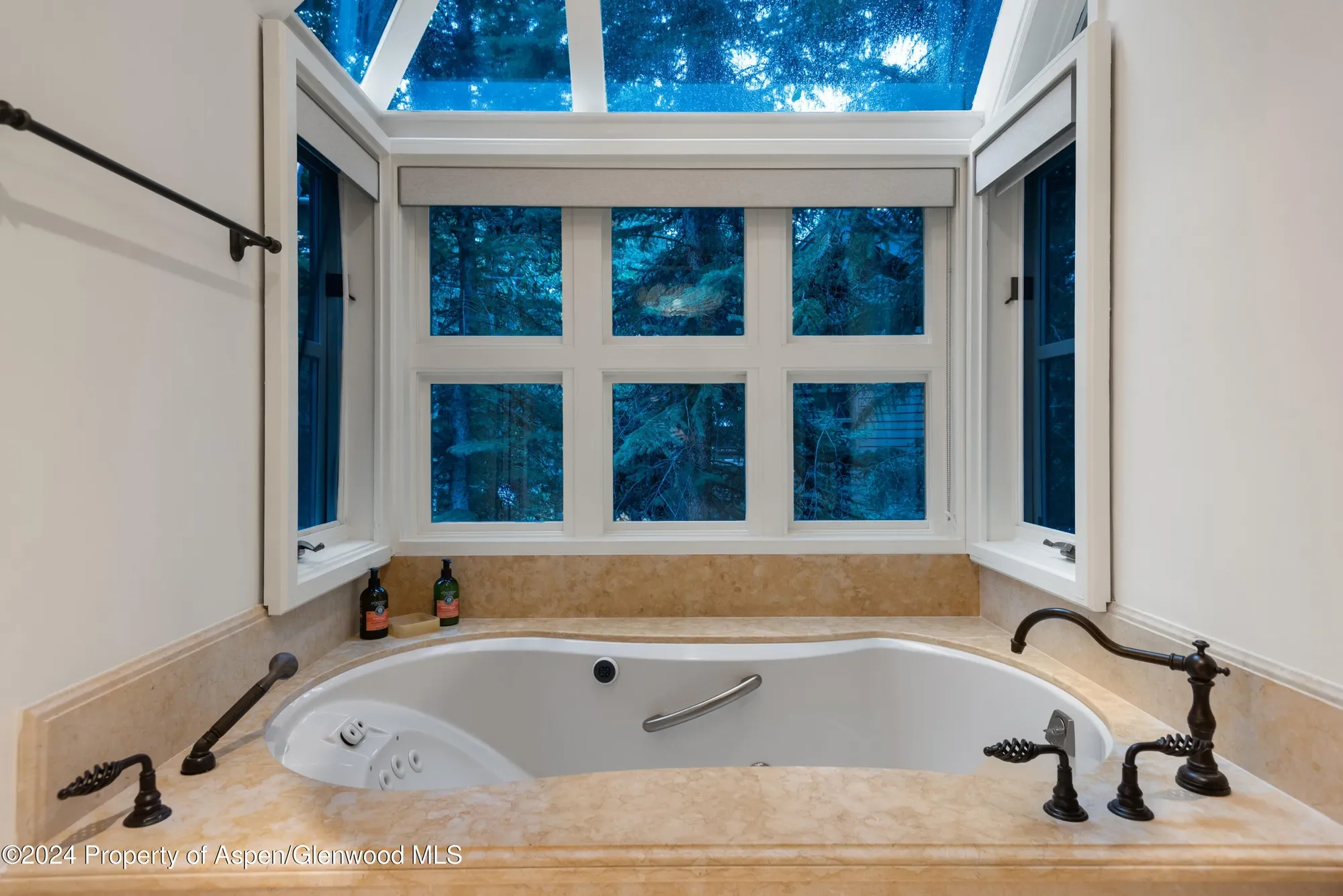 901 Ute Avenue, Aspen, Colorado, United States. - Photo 16