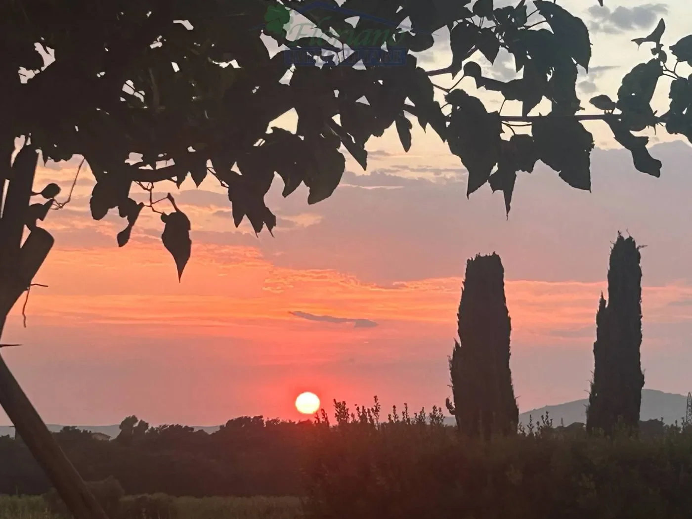 Strada Tavolaro, Montalto di Castro, Lazio, Italy. - Photo 5