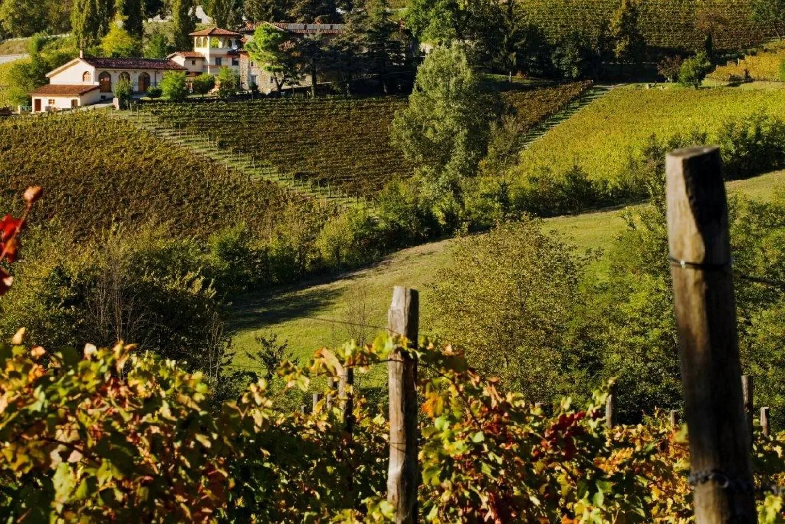 Cremolino, Piedmont, Italy. - Photo 17