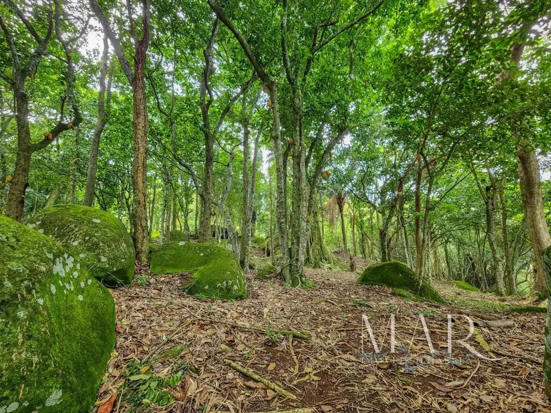 Birds' Reserve