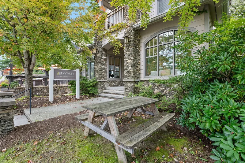 257 Sunset Drive, Blowing Rock, NC 28605, Blowing Rock, North Carolina, United States. - Photo 42