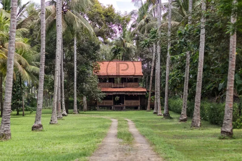 Bali, Indonesia. - Photo 20