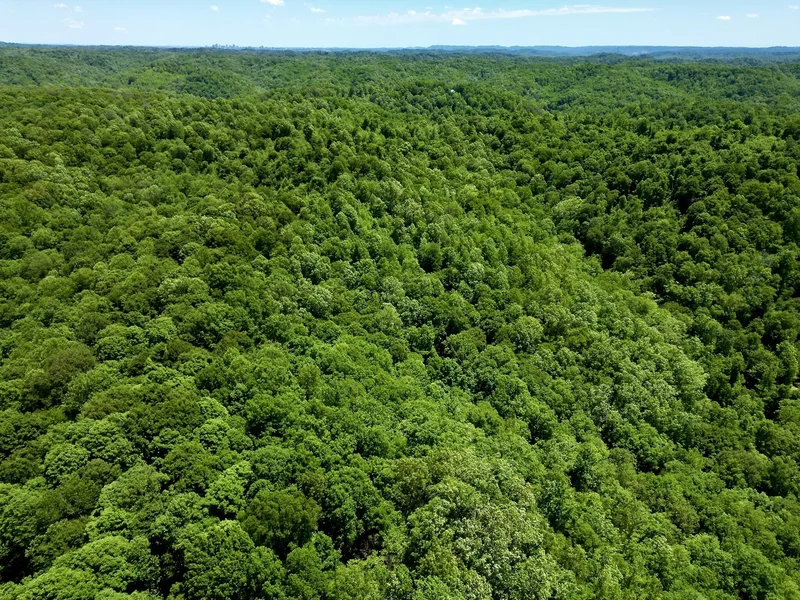 0 Big Marrrowbone Rd, Ashland City, TN 37015, Pegram, Tennessee, United States. - Photo 4