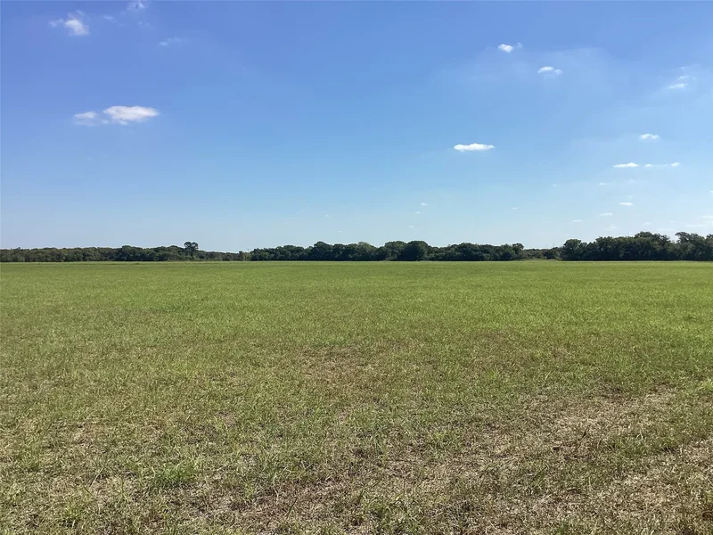 Tbd SW CR 3160, Dawson, TX 76639, Hubbard, Texas, United States. - Photo 5
