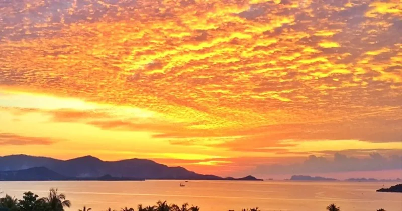 Koh Samui, Surat Thani, Koh Samui, Koh Samui, Surat Thani, Thailand. - Photo 2