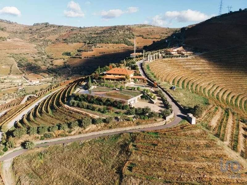 Folgosa, Armamar, Viseu, Armamar, Armamar, Viseu District, Portugal. - Photo 26