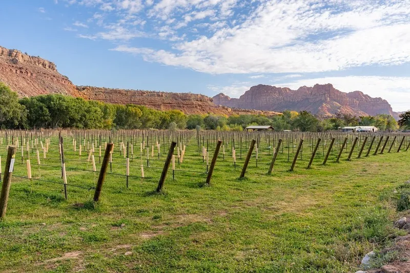 560 Vineyard Lane, Rockville, UT 84763, Rockville, Utah, United States. - Photo 74