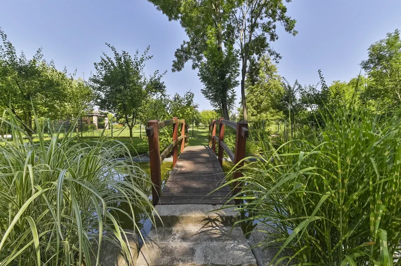 Vineyard Villa 105411, Trnava, Trnava Region, Slovakia. - Photo 16