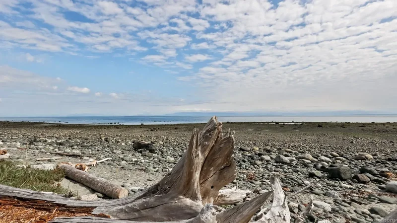 1494 Wilkinson Rd, Comox, British Columbia, Canada. - Photo 27