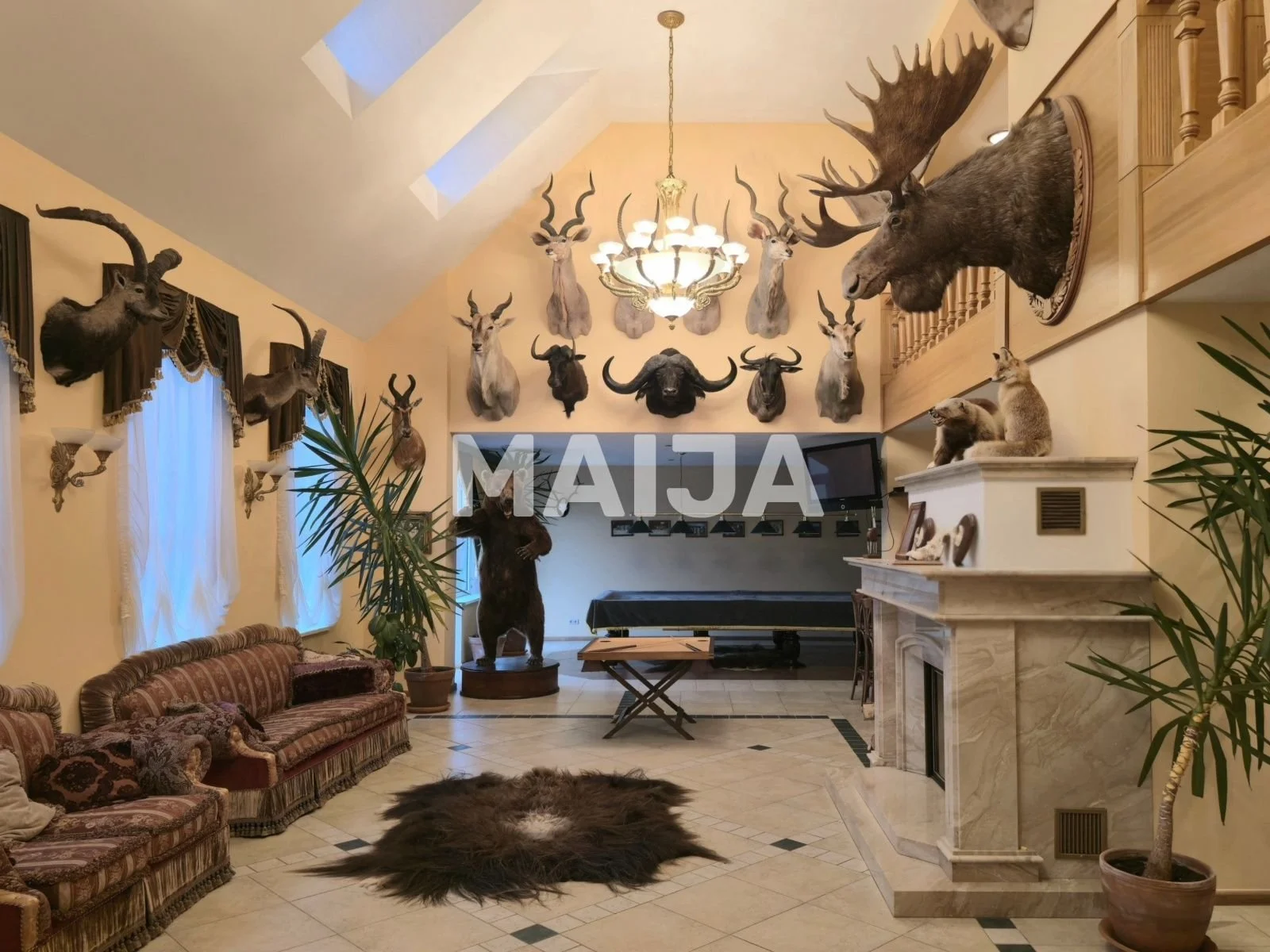 Gallery photo 1