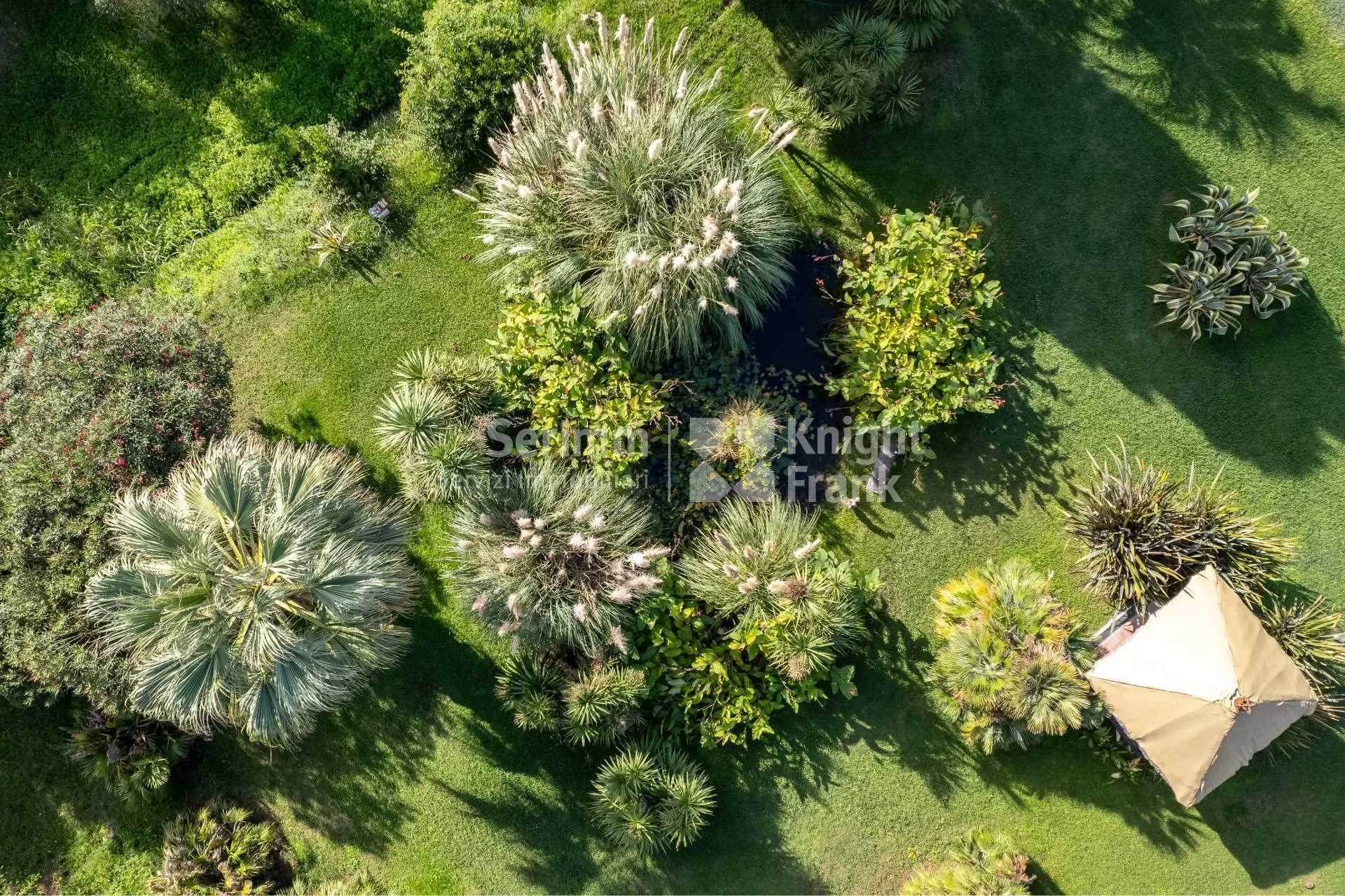 Camaiore, Camaiore, Tuscany, Italy. - Photo 4