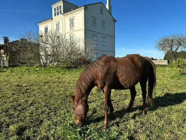 Costa verde, Tapia de Casariego, ASTURIAS, Tapia de Casariego, Tapia de Casariego, Asturias, Spain. - Photo 94