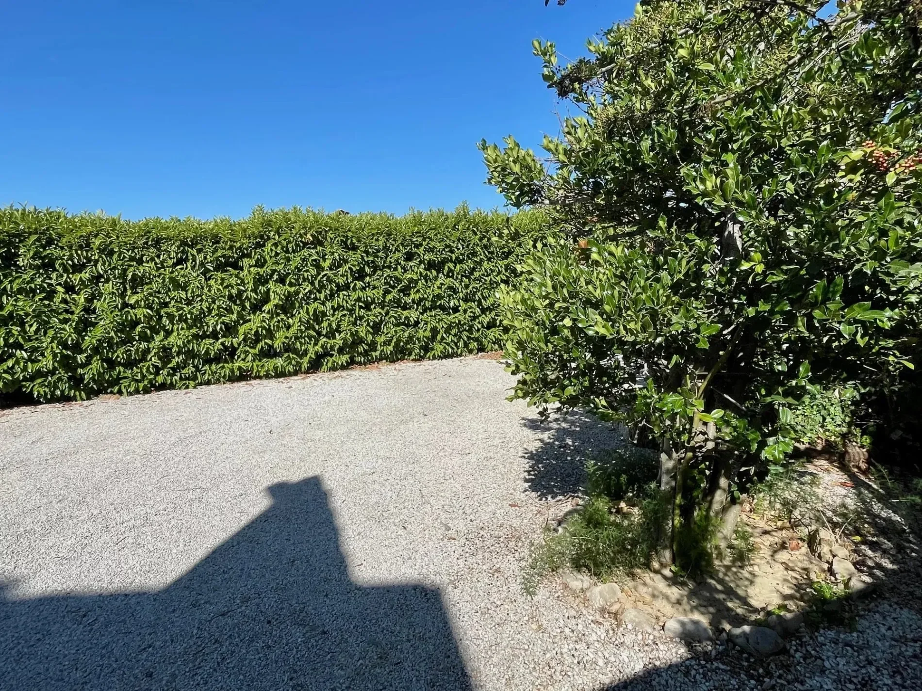Exterior photo 10