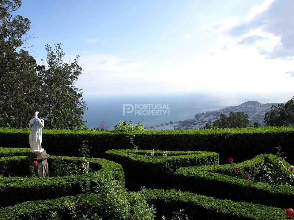Funchal, Madeira, Funchal, Se, Madeira, Portugal. - Photo 11